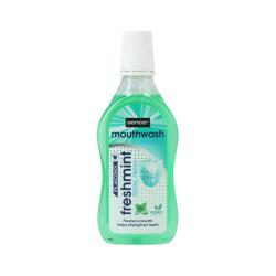 Sence stna voda 500ml Freshmint