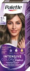 Palette ICC Farba na vlasy 50ml 6-1 �adov� tmavoplav�